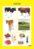 Farm Animals - Foundation Phase Theme