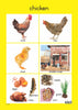 Farm Animals - Foundation Phase Theme