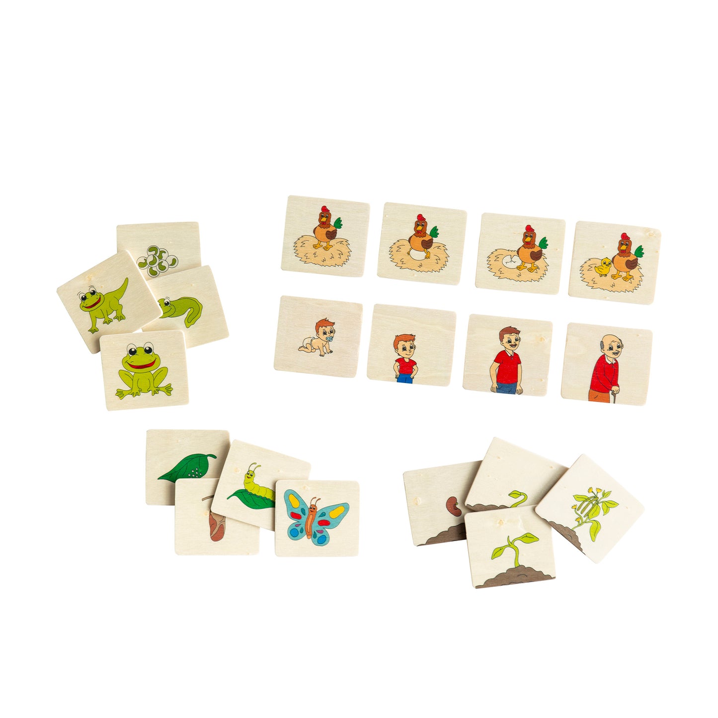 Sequence Life Cycles