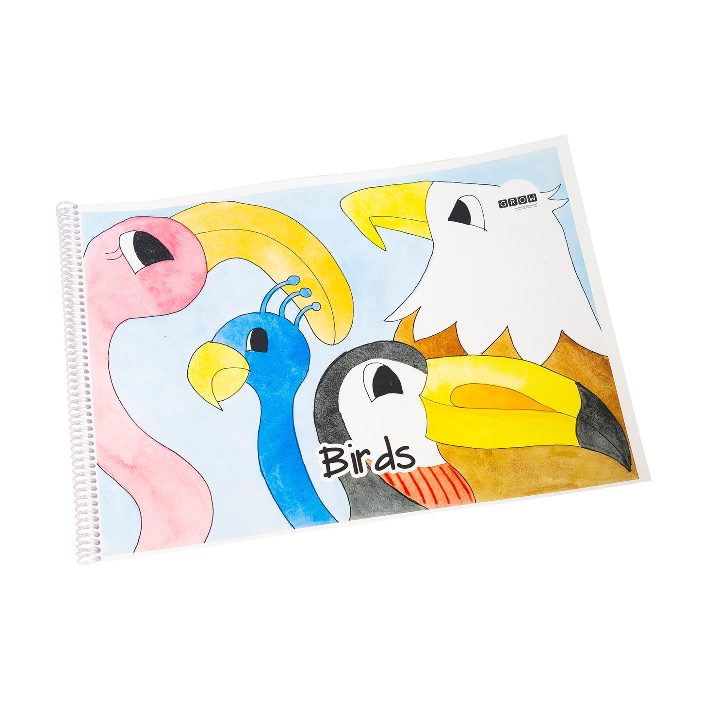 Big Books - Birds