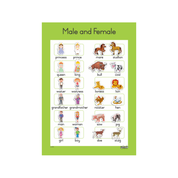 Male & Female - Wallchart